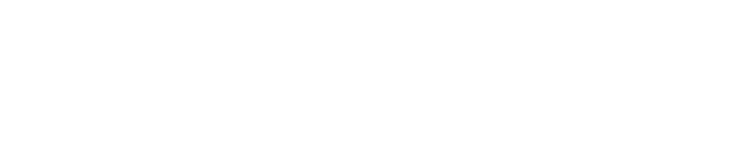 Spin-Modern-Long-Logo---WHITE Spin Modern Logo